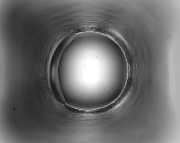 X0000088700777200705311214