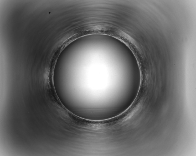 X0000088700778200705311214