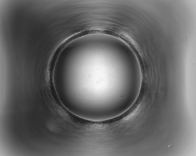 X0000088700779200705311214
