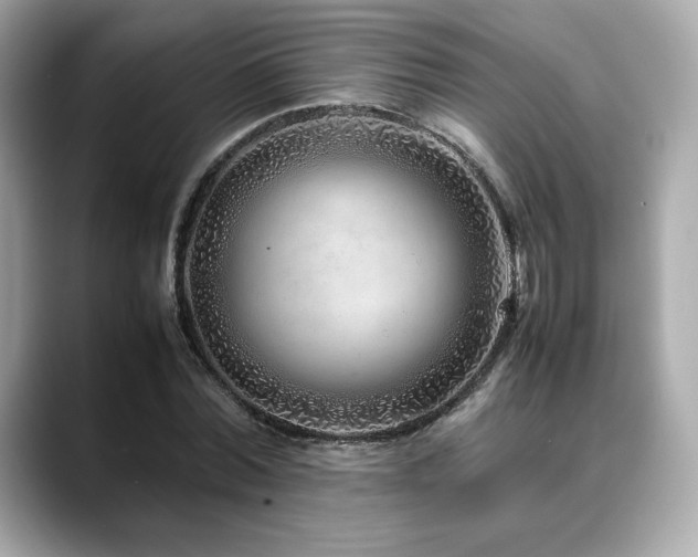 X0000088700780200705311214