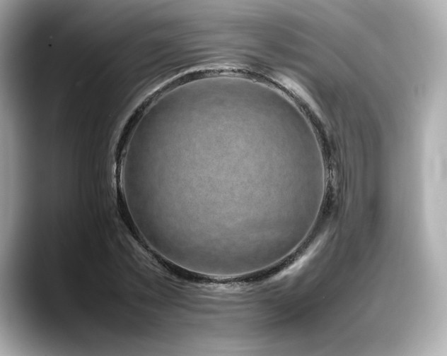 X0000088700781200705311214