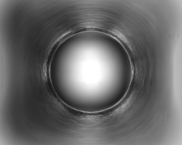 X0000088700782200705311214