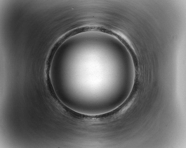 X0000088700783200705311214