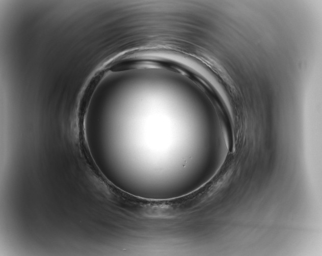 X0000088700784200705311214
