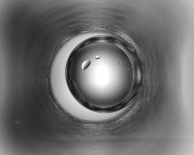 X0000088700785200705311214