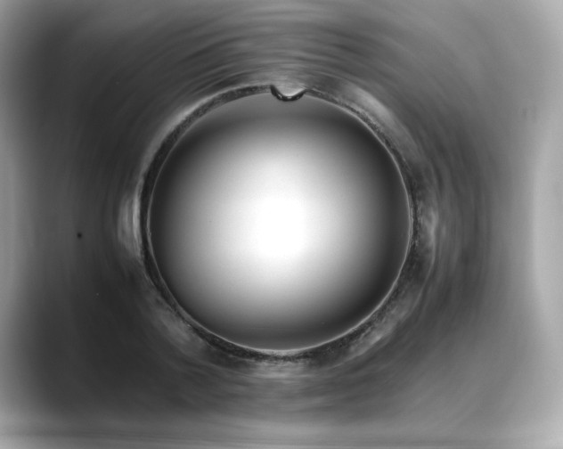 X0000088700788200705311214