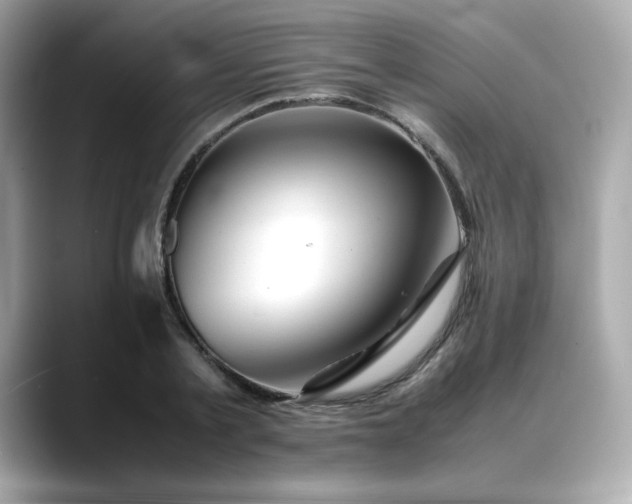 X0000088700789200705311214