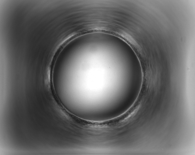 X0000088700790200705311214