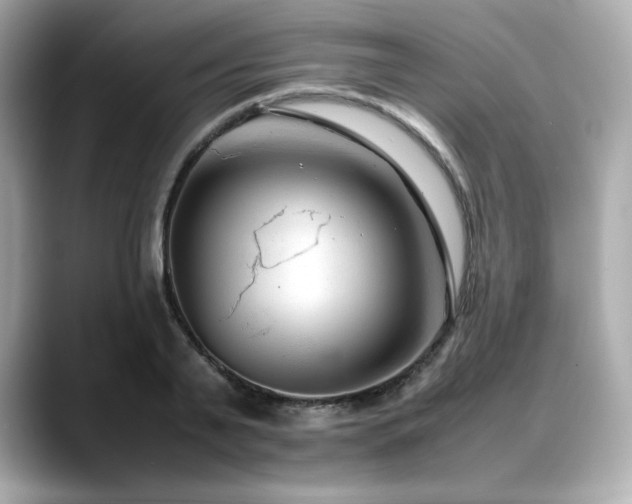 X0000088700791200705311214