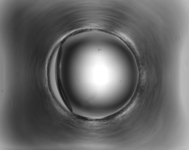 X0000088700792200705311214