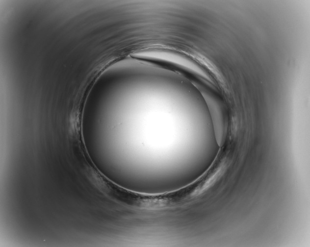 X0000088700793200705311214