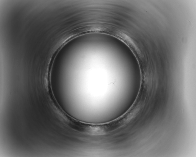 X0000088700794200705311214