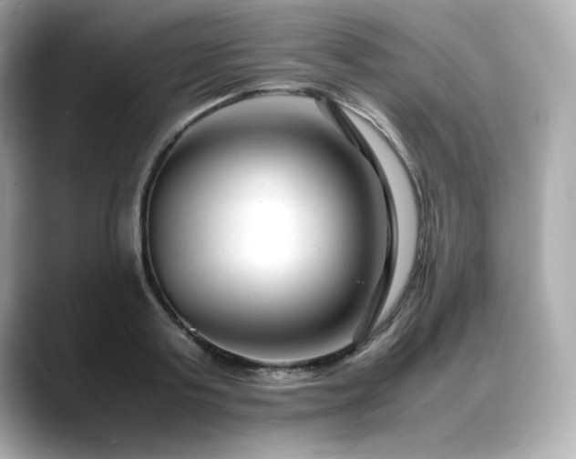 X0000088700795200705311214