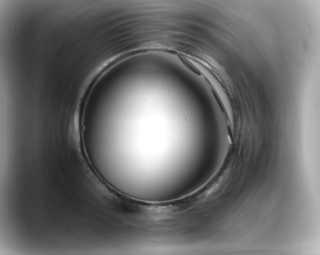 X0000088700796200705311214