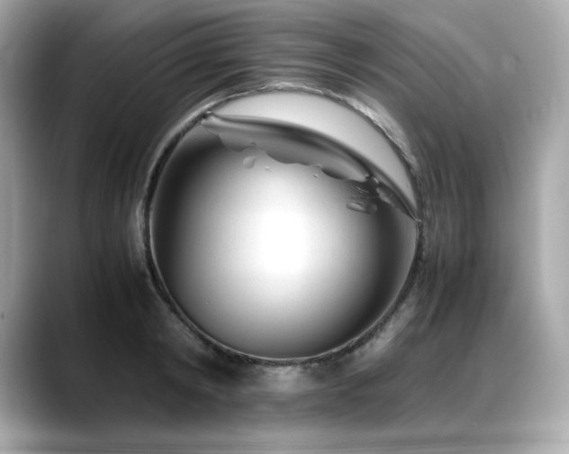X0000088700798200705311214