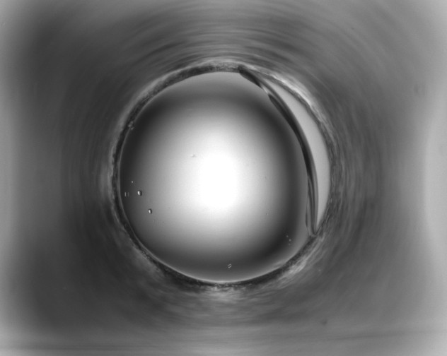 X0000088700799200705311214