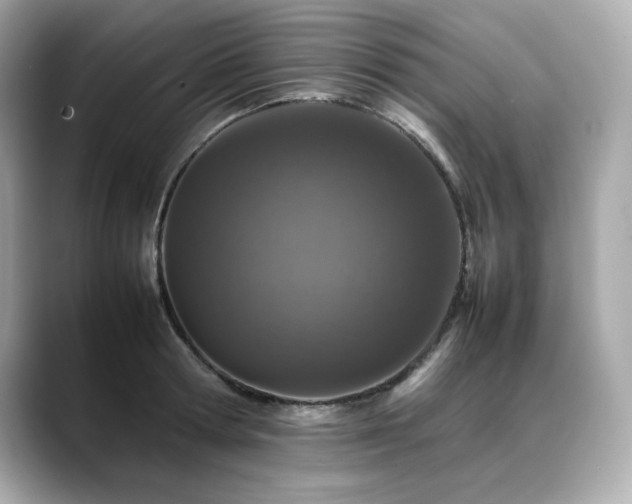 X0000088700802200705311214