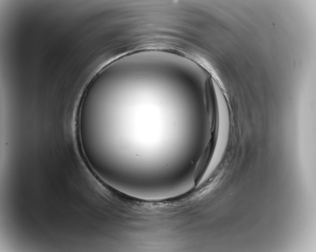 X0000088700803200705311214