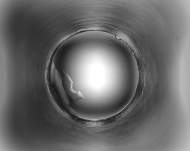 X0000088700805200705311214
