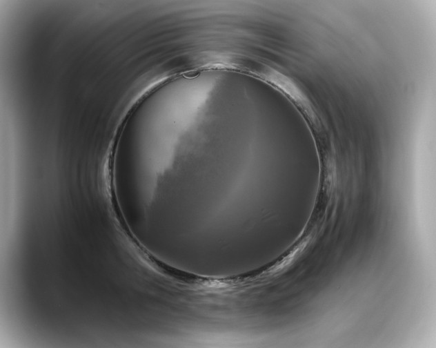 X0000088700806200705311214