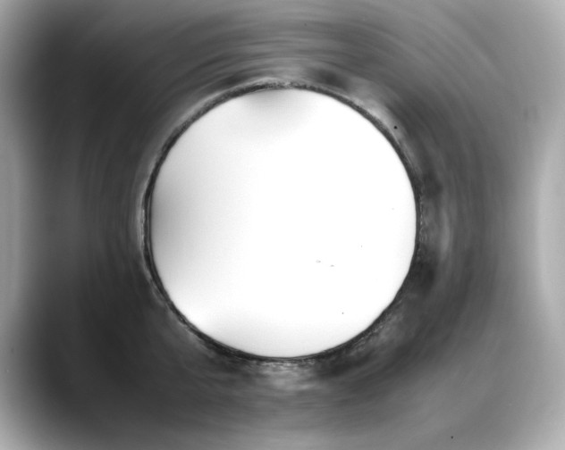 X0000088700807200705311214