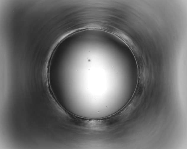 X0000088700808200705311214