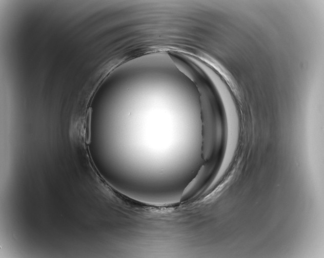 X0000088700809200705311214