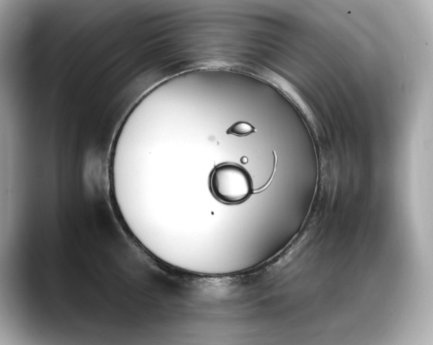 X0000088700810200705311214