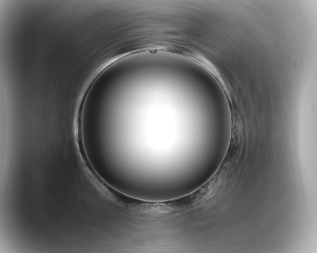 X0000088700811200705311214