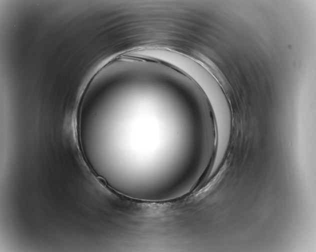 X0000088700812200705311214