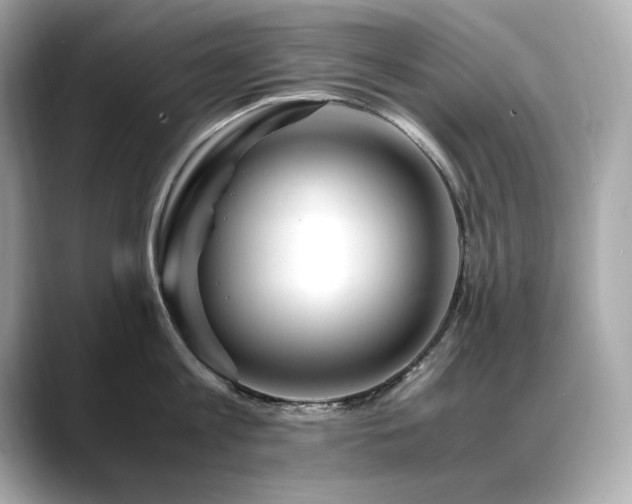 X0000088700813200705311214