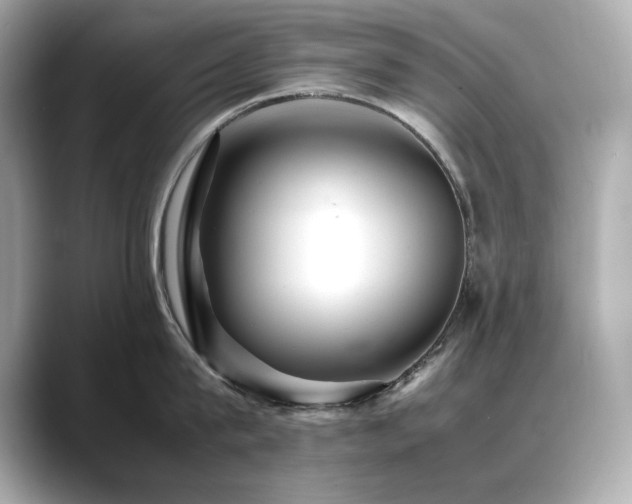 X0000088700815200705311214