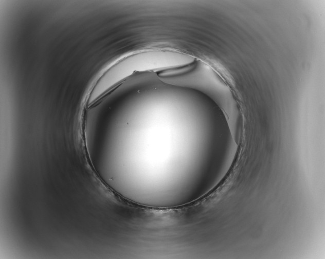 X0000088700816200705311214