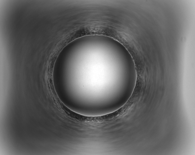 X0000088700817200705311213