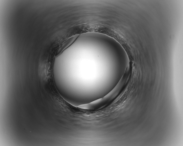 X0000088700818200705311213
