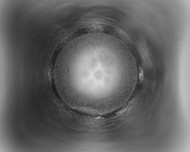 X0000088700819200705311213