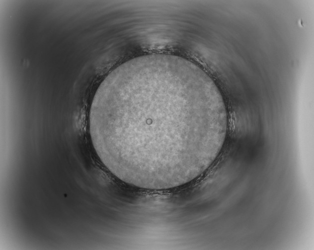 X0000088700820200705311213