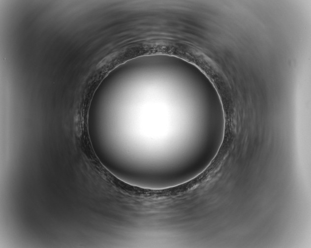 X0000088700821200705311213