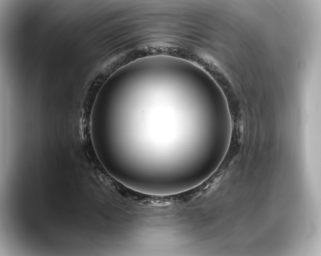 X0000088700822200705311213
