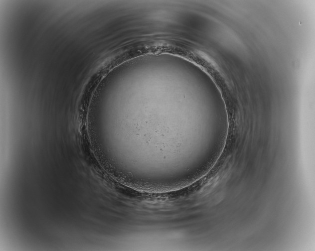 X0000088700823200705311213