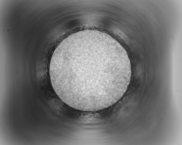 X0000088700824200705311213