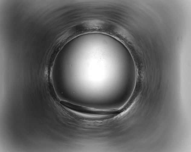 X0000088700825200705311213