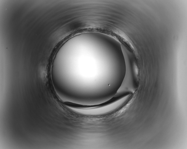 X0000088700826200705311213