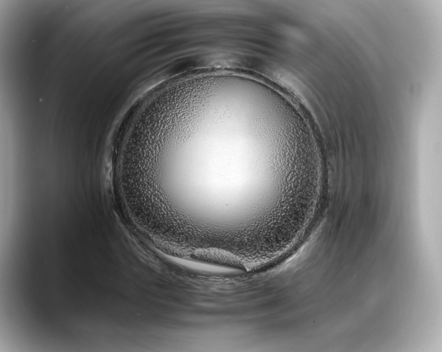 X0000088700827200705311213