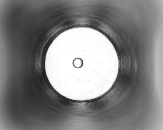 X0000088700828200705311213
