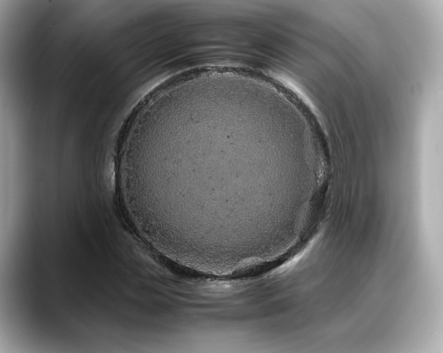 X0000088700829200705311213