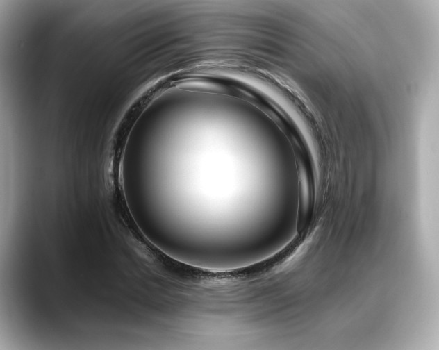 X0000088700830200705311213