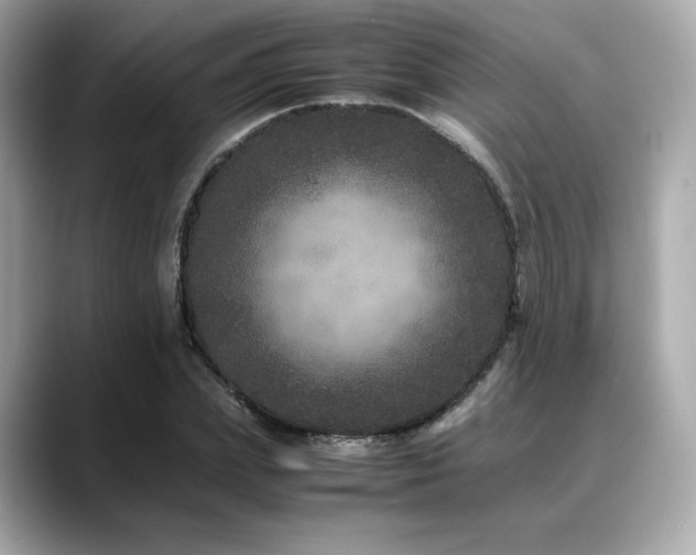X0000088700831200705311213