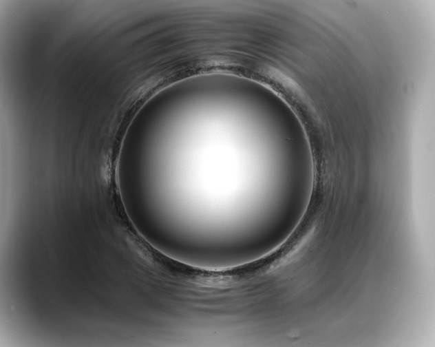 X0000088700833200705311213