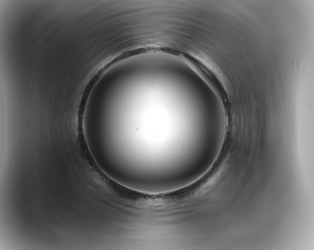 X0000088700834200705311213